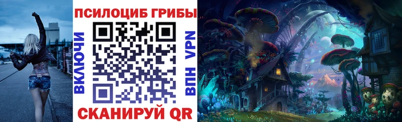 Купить закладки Нижневартовск Псилоцибиновые грибы Psilocybine cubensis